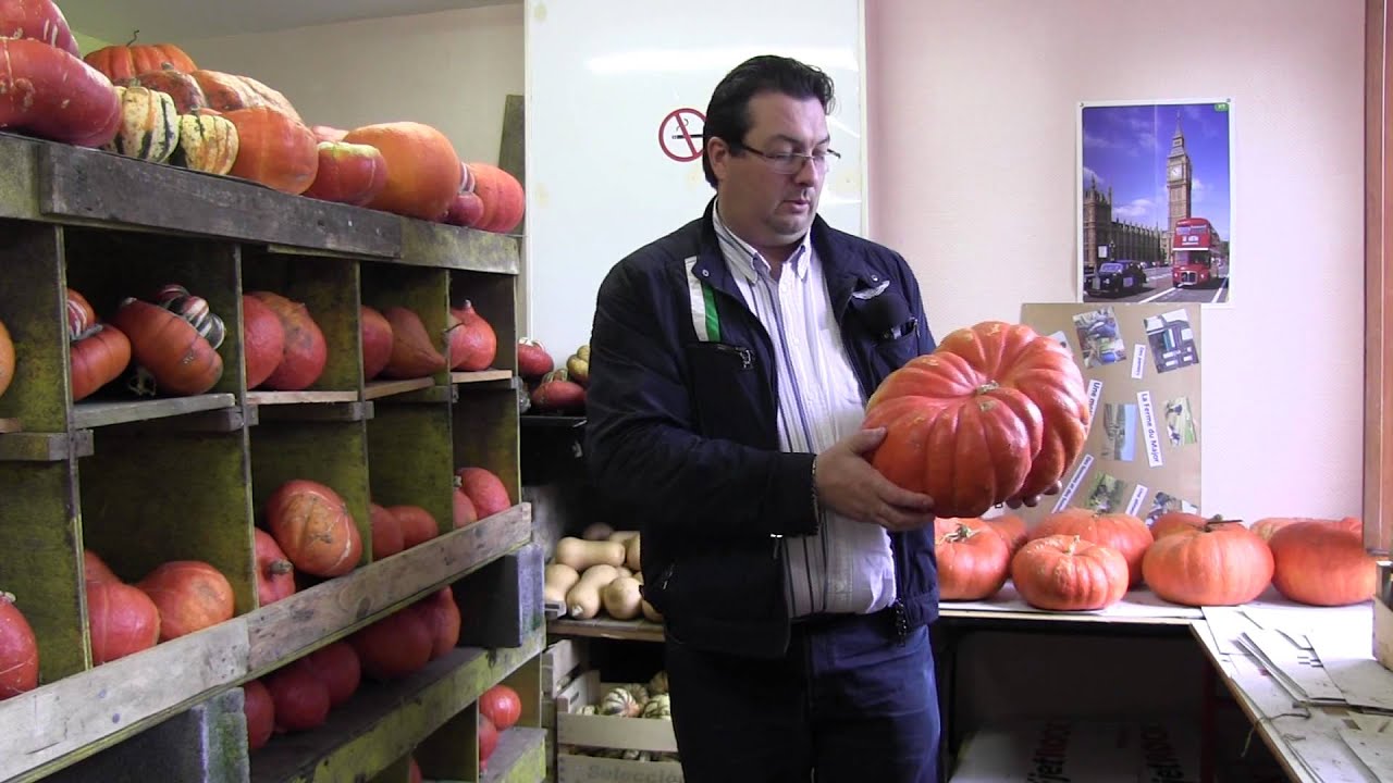 COP21  "Une soupe aux légumes bio et moches"