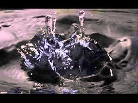 T.Sombra - Crudo ( prod. T.Sombra)