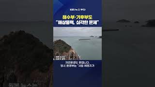 2026.02.26. #해상풍력 #다대포 군사작전 국방부 선박 안전 해양수산부 기후환경부 전형서기자