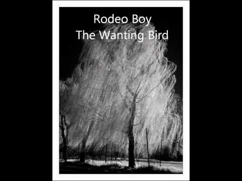 Rodeo Boy  The Wanting Bird