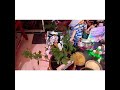 Gauri Ganpati Decoration Save Girls And Save Trees