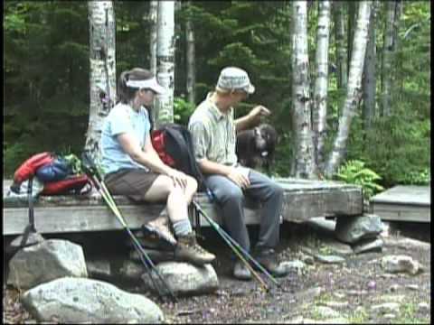 Take a Hike: Crocker Mountain