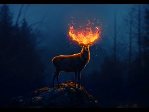 deer walking in forest