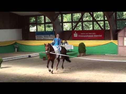 CVI Krumke 2013 - Sophie Hofmann Pflicht