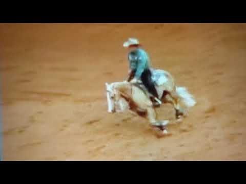 wimpys little chic shawn flarida nrha derby champions