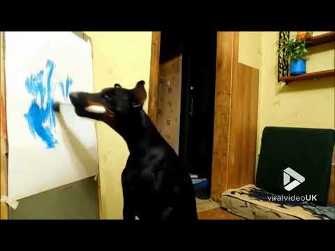 Doberman is quite the painter