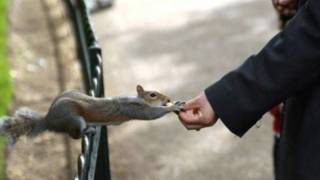 Oven- Seven Mary Three