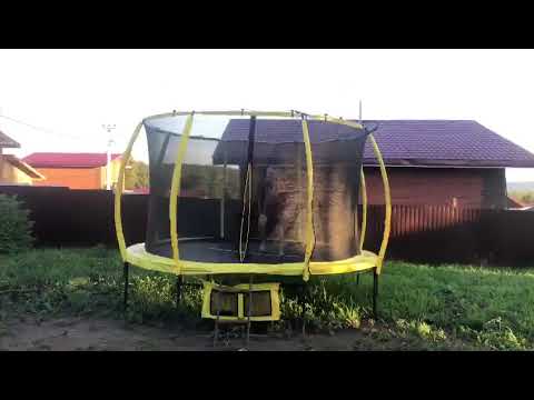 Отзыв на каркасный батут KOENIGSMANN T-12 PRO 366 см