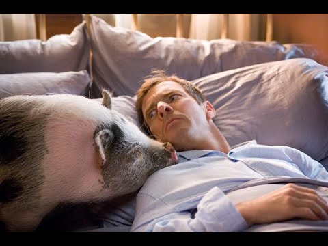 Yours, Mine and Ours (2005)