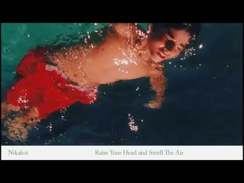 Nikakoi   I Can't Even See My Paw