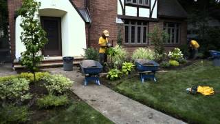 Fall Planting Landscaping Project Video -- Sollecito Landscaping Nursery