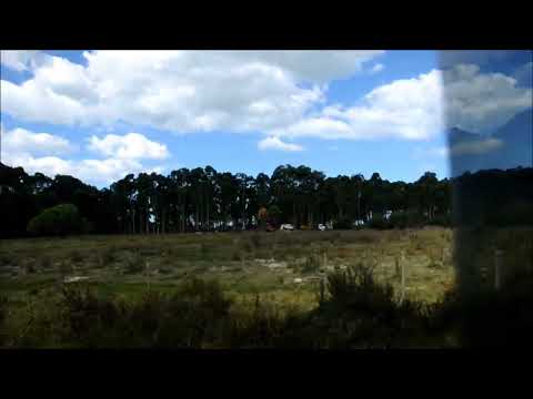 Rocha Palmares De La Coronilla Uruguay en Kombi. Surandado