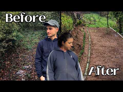 How We Turned a Jungle Into a Garden in Just 2 Days