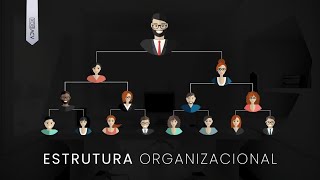 Estrutura Organizacional