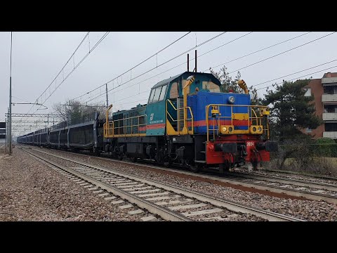 D146 2024 in testa al Chignolo Po - Alessandria smistamento
