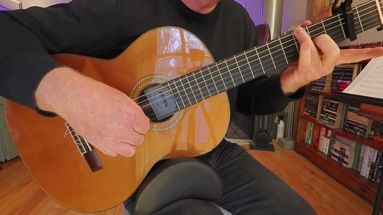 Promotional video thumbnail 1 for Classical Guitarist - Derek Macrae