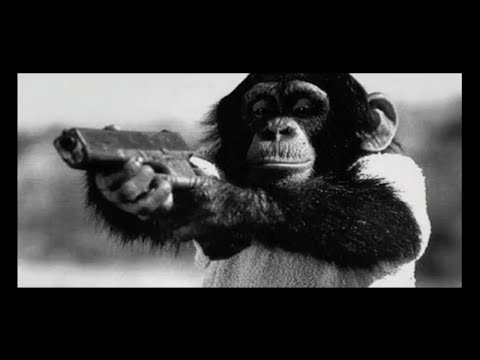 Phat Kat - Cold Steel feat. Elzhi (prod. J Dilla)