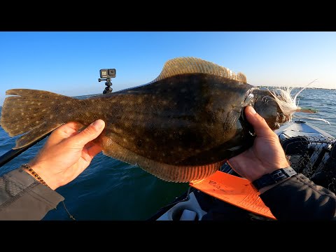 Fluke (Summer Flounder) Catch and Cook . Hobie Kayak LIS