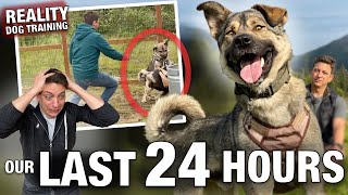 My Final Video with Him and THIS Occurred. Actuality Canine Coaching