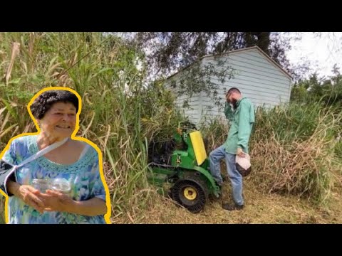 Neighbors were so THANKFUL I cut this INSANE city VIOLATION for FREE