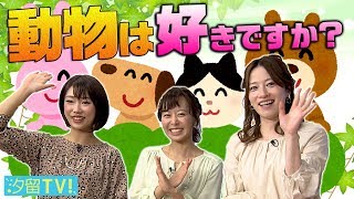 質問に答えます！『動物は好きですか？』