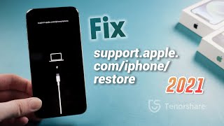 Top 5 Ways to Fix support.apple.com/iphone/restore iPhone X