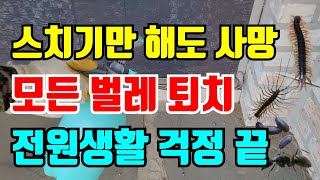 이거 뿌렸더니 벌레가 싹 사라졌어요! 언젠가부터 벌레가 안보여요 신기합니다