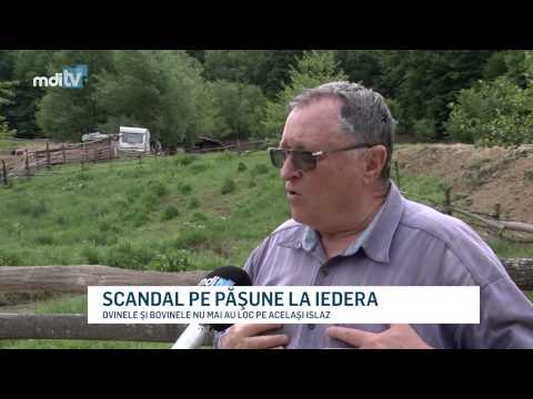 YOUTUBE   SCANDAL PE PASUNE LA IEDERA  - MDI TV