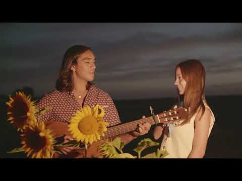 No Tempo dos Girassóis | Francisco Horta