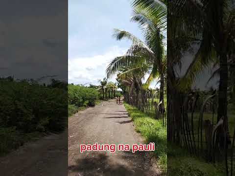 Pauli na gikan nangaligo sa dagat| #beach #music #travel