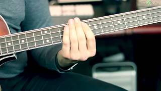 Video thumbnail for Höfner H500/2 Club Bass | TonePedia Sessions by TonePedia