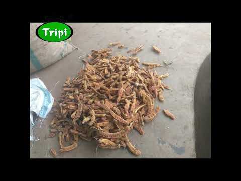 Loose dried brown imli