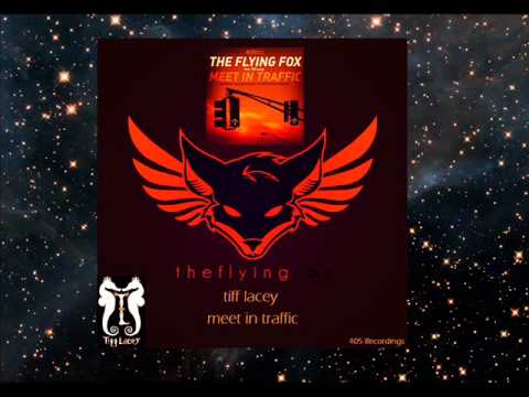 The Flying Fox & Tiff Lacey - Meet In Traffic (Niklas Harding Remix)