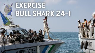Exercise Bull Shark 24-1