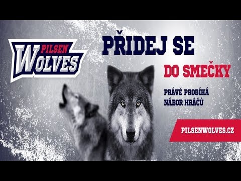 Plzeň pro sport - Pilsen Wolves na portálu plzencz