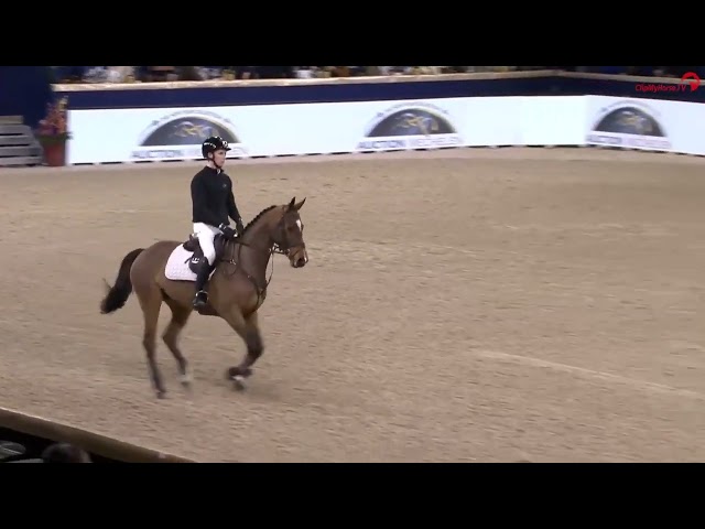 Secret Love Dwerse Hagen presentation