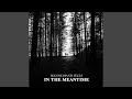 In The Meantime Instrumental