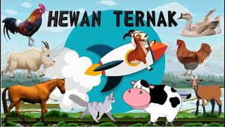 Download lagu Nama dan Suara Hewan Ternak | Suara Binatang Animasi | Pembelajaran Anak anak 2022 mp3 Download lagu Nama dan Suara Hewan Ternak | Suara Binatang Animasi | Pembelajaran Anak anak 2022 mp3