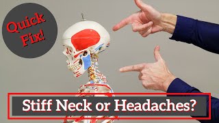 Stiff Neck or Headaches? Try This Quick Fix by Physical Therapists