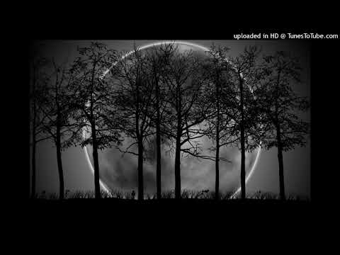 Silent Horror - Lost And Never Found