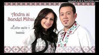 Download lagu Andra - Lucru Mare-i Omenia (Warlok Rework) mp3