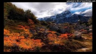 nilave nilave ipo mp3 tamil melody songs