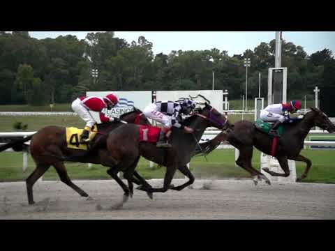 201114 c04 M M y A Wildemauwe/ NEW ORLEANS