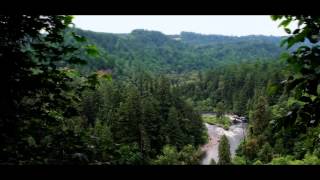 Bob Mould - The Descent OFFICIAL VIDEO