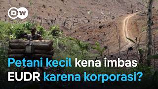 Download lagu Kelapa sawit Indonesia: Tahun 2025 tak bisa ekspor ke Uni Eropa! Petani kecil rugi karena EUDR? mp3