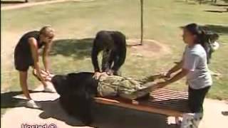 Criss Angel Pulls a Girl Half Apart