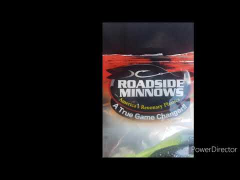 Detroit River Roadside Minnow Smackdown!!! 4/8/2020