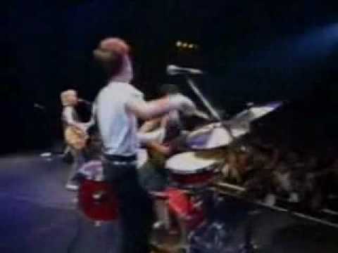 Stray Cats - Summertime Blues (Live In Tokyo)