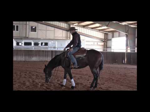 Trevor Dare Part 1 of 2