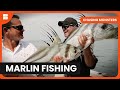 Facing Ocean S Predators Chasing Monsters S02 EP3 Nature Adventure Documentary